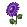 [Image: flora3-spreading.png]